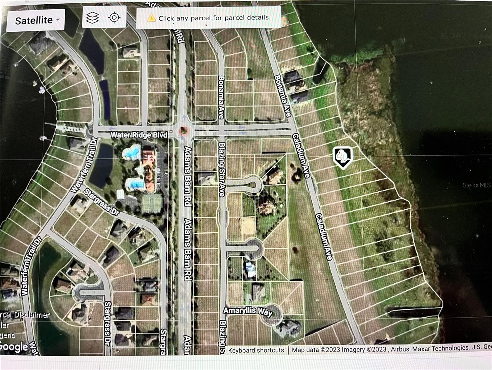 344 CALADIUM AVE, LAKE ALFRED, FL, 33850