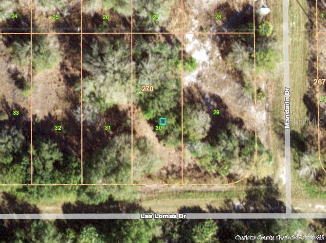 27248 LAS LOMAS DR, PUNTA GORDA, FL, 33955