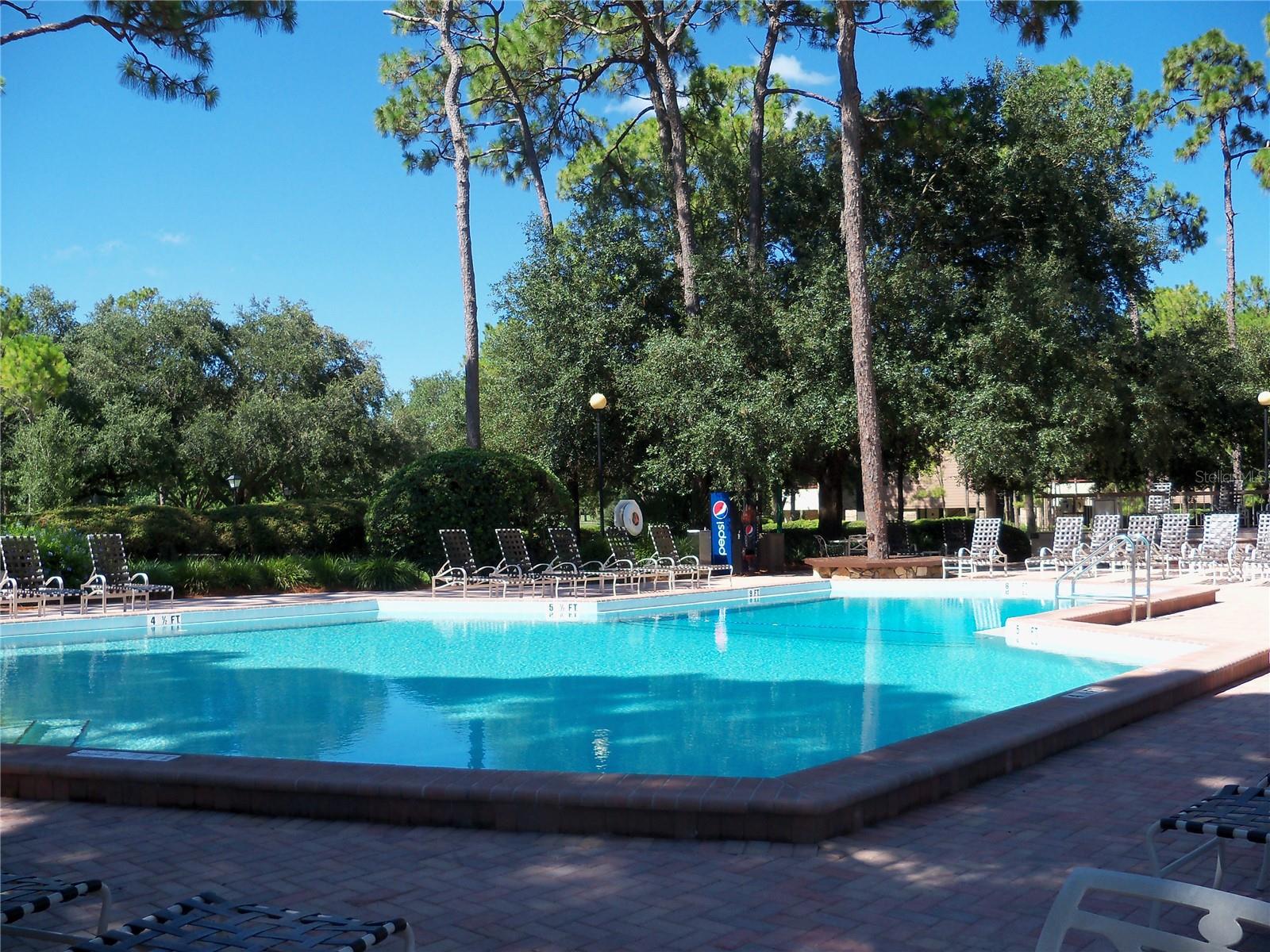 36750 US HIGHWAY 19 N #20-210, PALM HARBOR, FL, 34684
