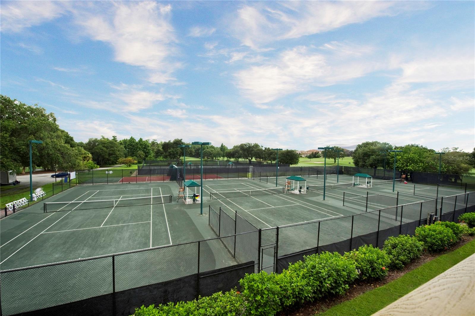 36750 US HIGHWAY 19 N #20-210, PALM HARBOR, FL, 34684