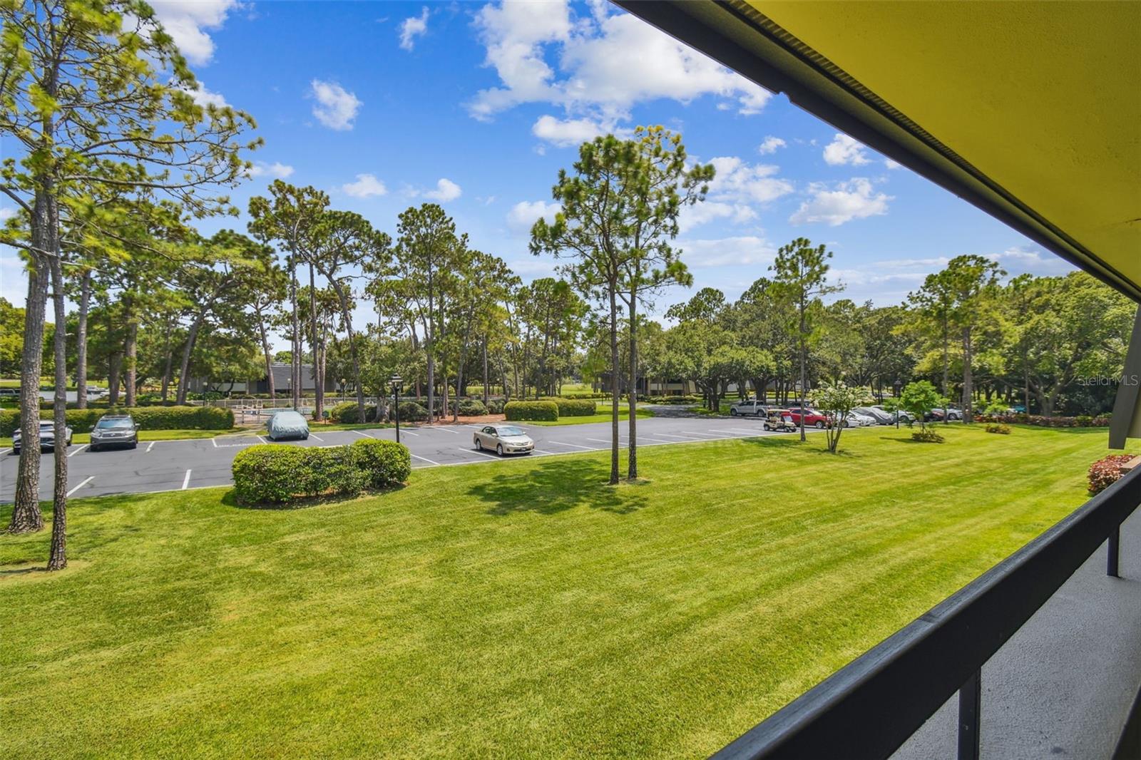 36750 US HIGHWAY 19 N #20-210, PALM HARBOR, FL, 34684