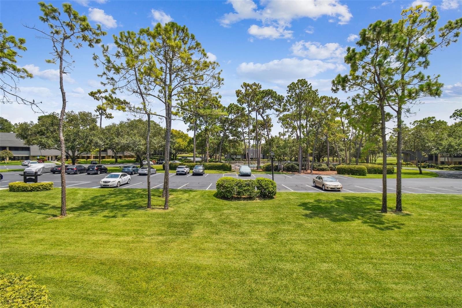 36750 US HIGHWAY 19 N #20-210, PALM HARBOR, FL, 34684