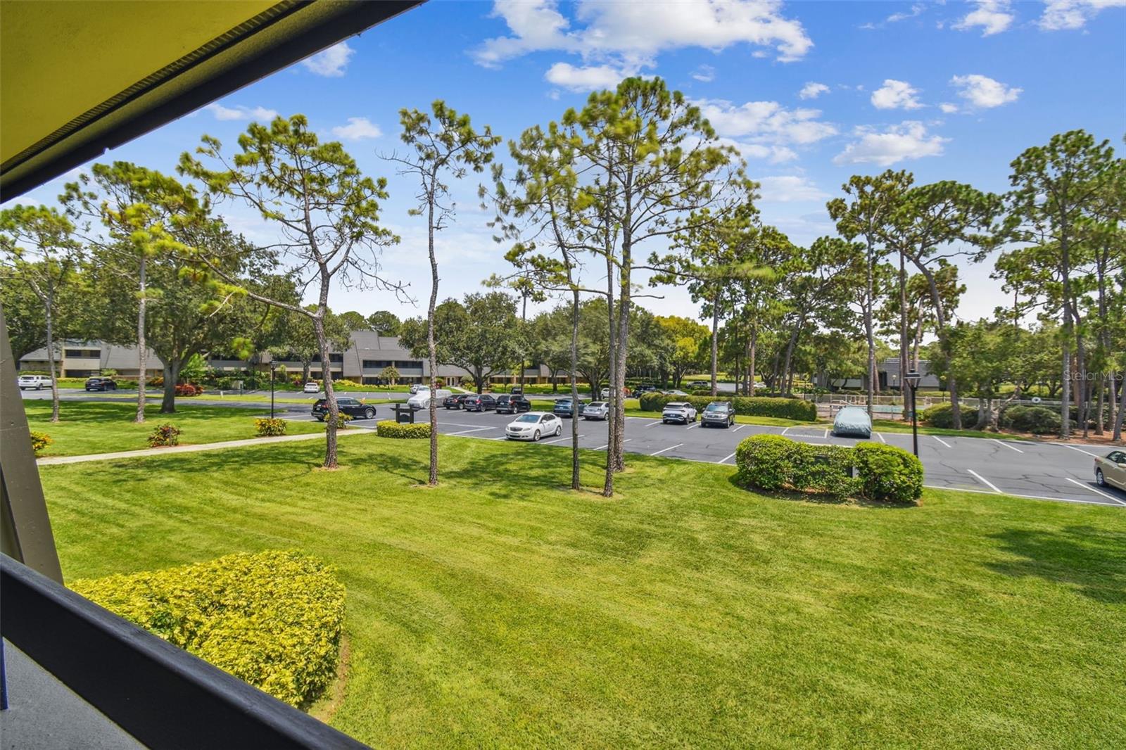 36750 US HIGHWAY 19 N #20-210, PALM HARBOR, FL, 34684