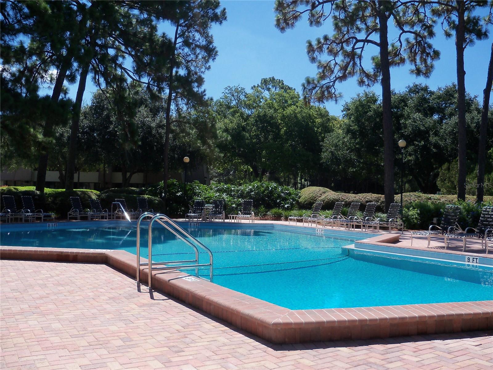 36750 US HIGHWAY 19 N #20-210, PALM HARBOR, FL, 34684