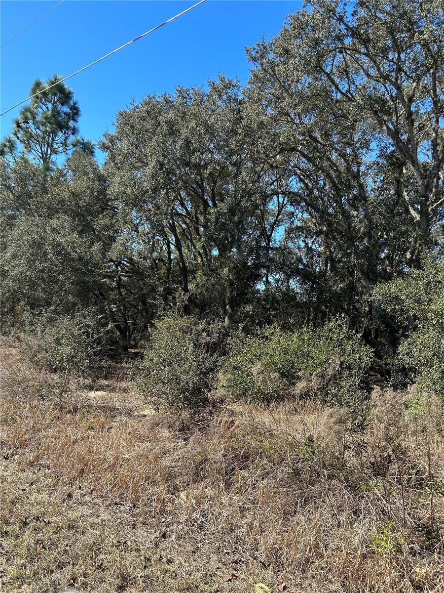 TBD EVERGREEN CT, DUNNELLON, FL, 34431