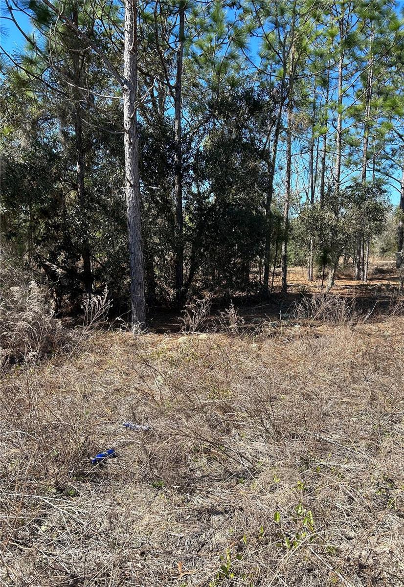 TBD EVERGREEN CT, DUNNELLON, FL, 34431