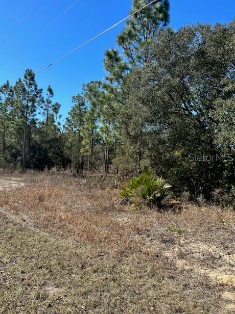 TBD EVERGREEN CT, DUNNELLON, FL, 34431