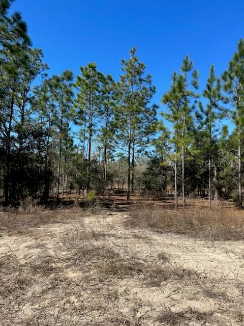 TBD EVERGREEN CT, DUNNELLON, FL, 34431