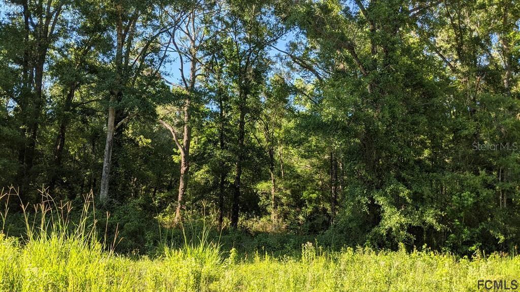 4927 JONATHAN ST, HASTINGS, FL, 32145