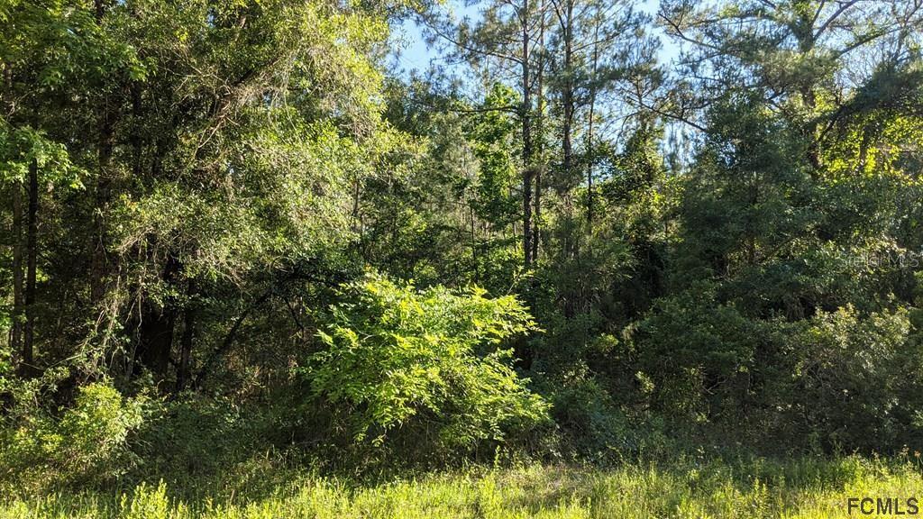 4927 JONATHAN ST, HASTINGS, FL, 32145