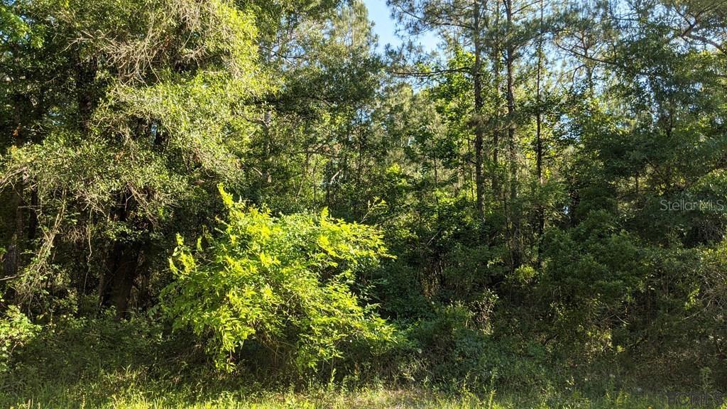 4927 JONATHAN ST, HASTINGS, FL, 32145