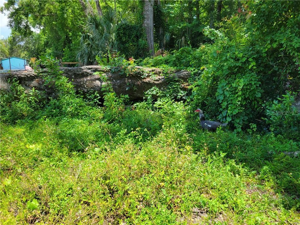 4902 S ROEBUCK WAY, HOMOSASSA, FL, 34448