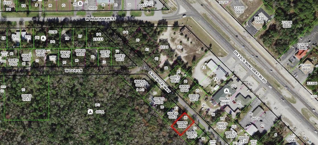 4902 S ROEBUCK WAY, HOMOSASSA, FL, 34448