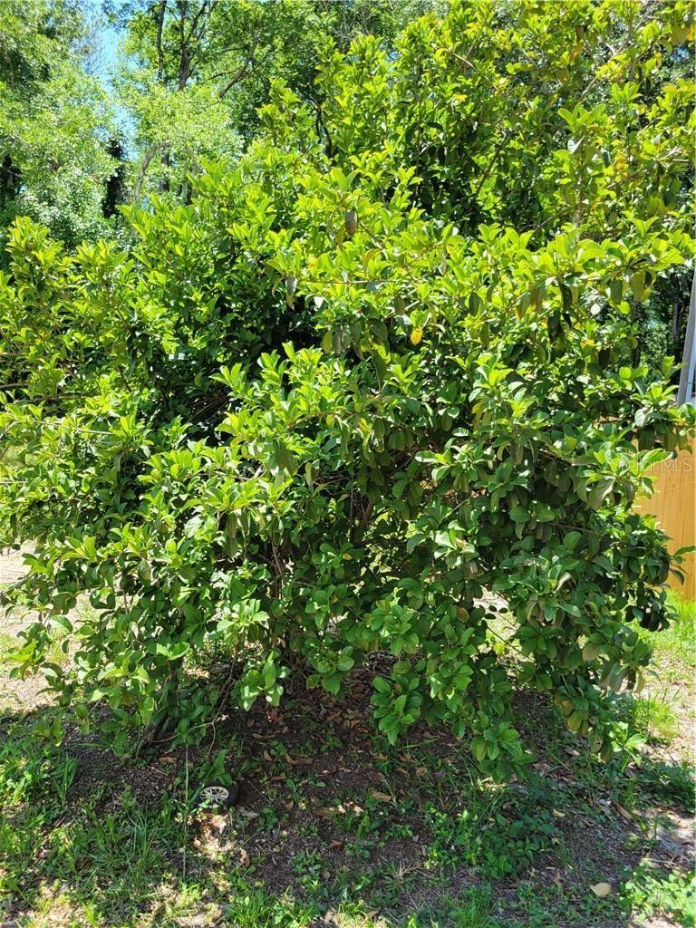 4902 S ROEBUCK WAY, HOMOSASSA, FL, 34448