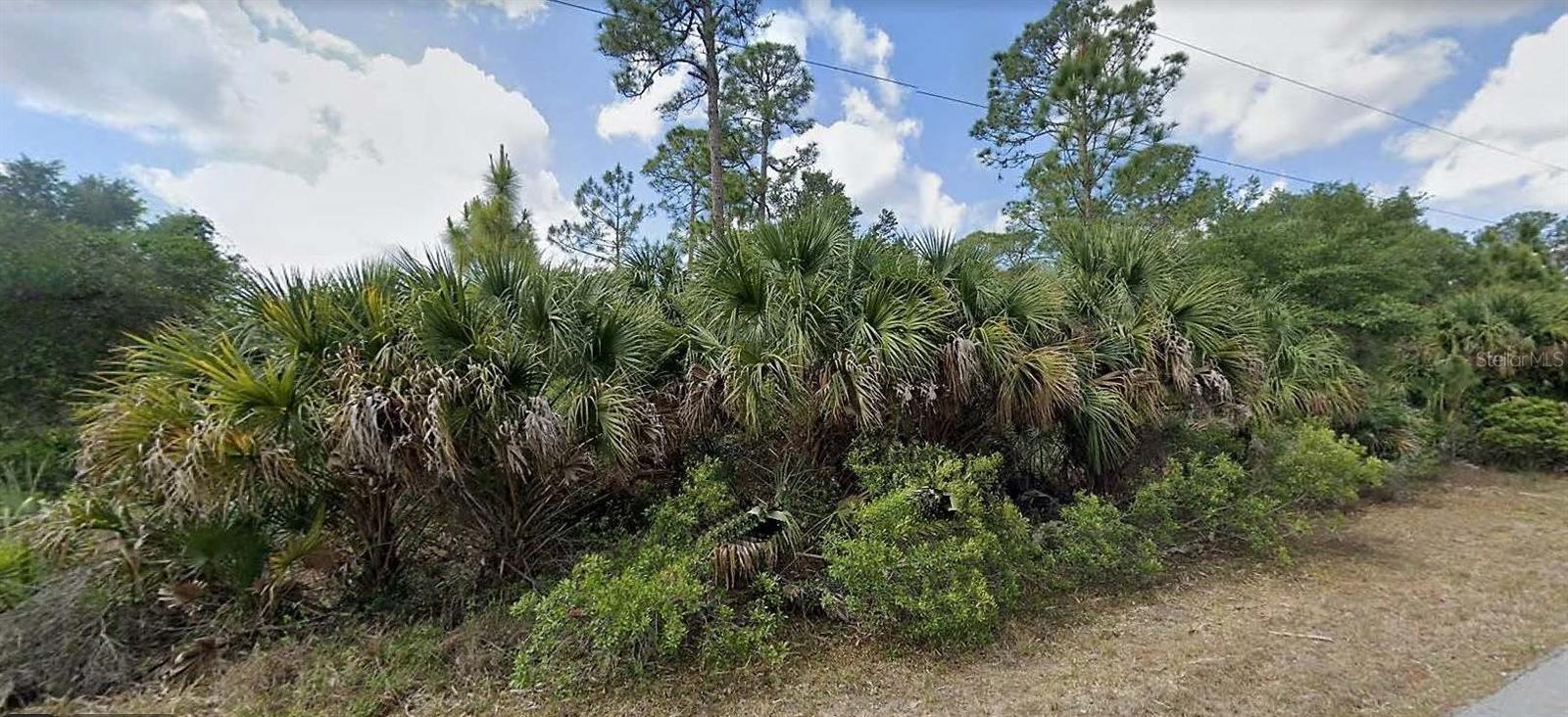 14391 CAROUSEL LN, PORT CHARLOTTE, FL, 33953