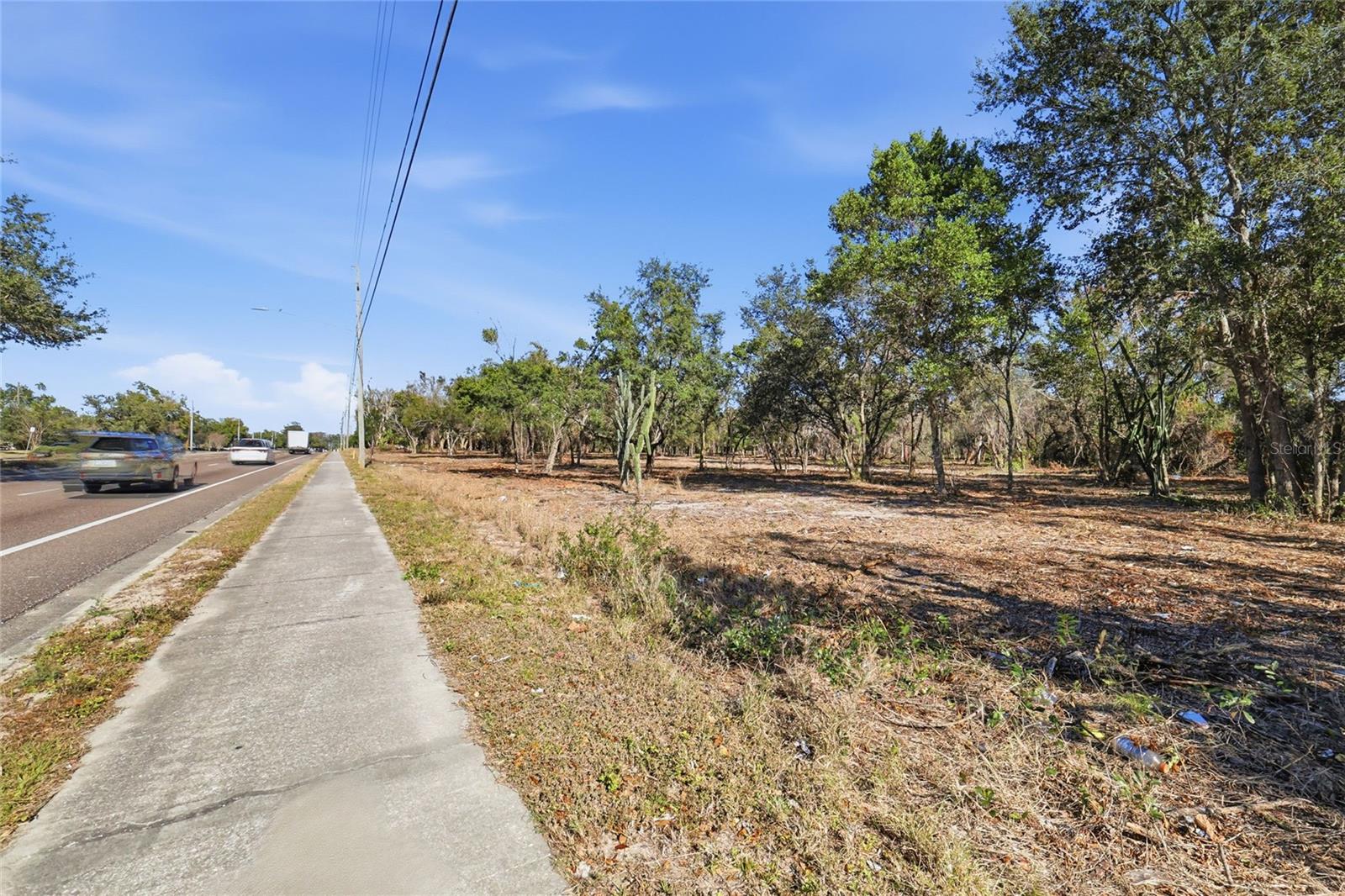 SUMMERALL AVE & SR 19, TAVARES, FL, 32778