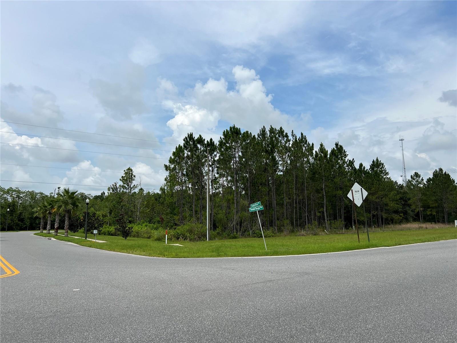0 RONALD REAGAN PKWY, DAVENPORT, FL, 33837