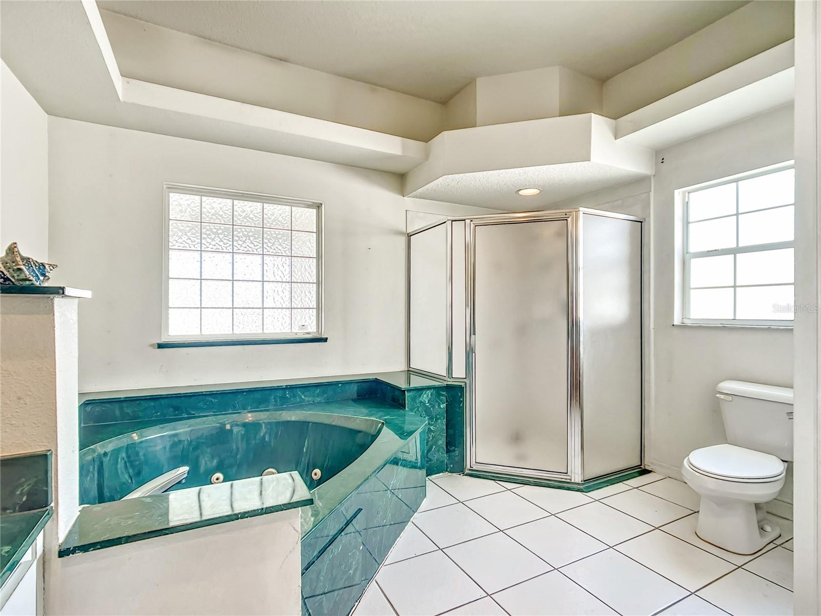 15718 SW 27TH AVENUE RD, OCALA, FL, 34473