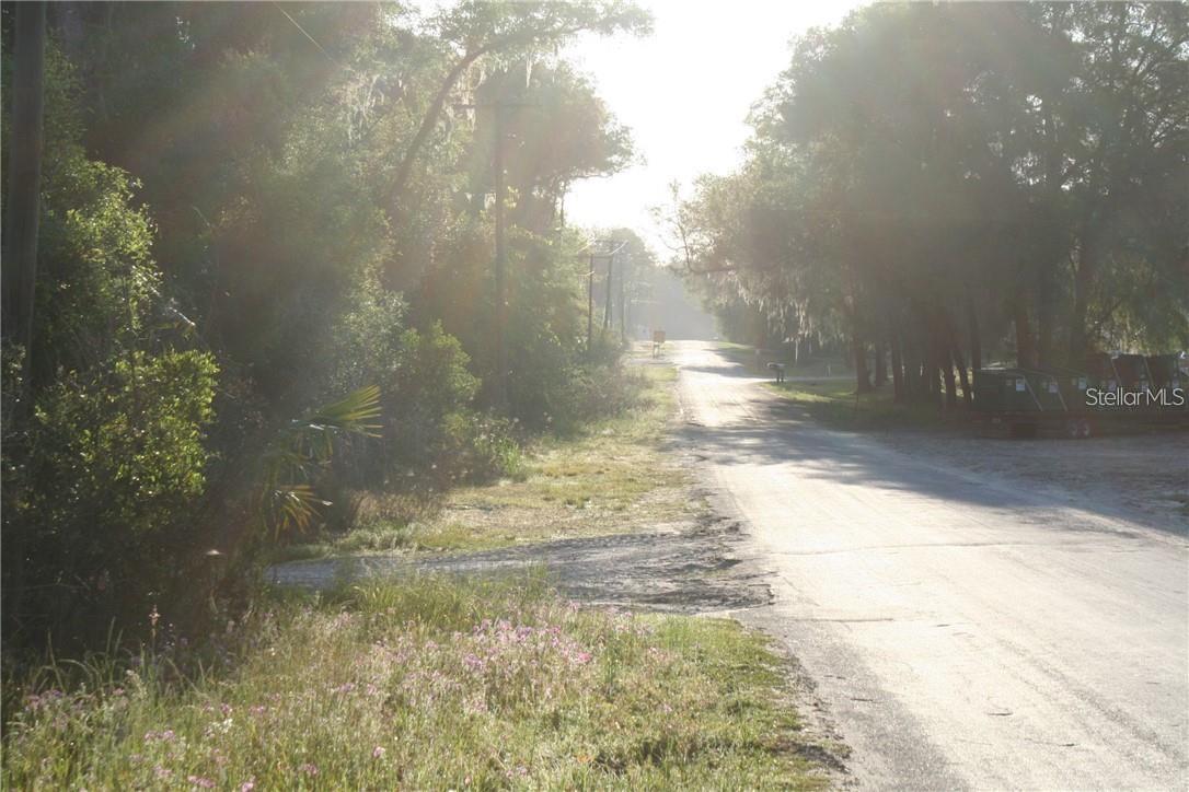 4541 SE 95TH ST, OCALA, FL, 34480