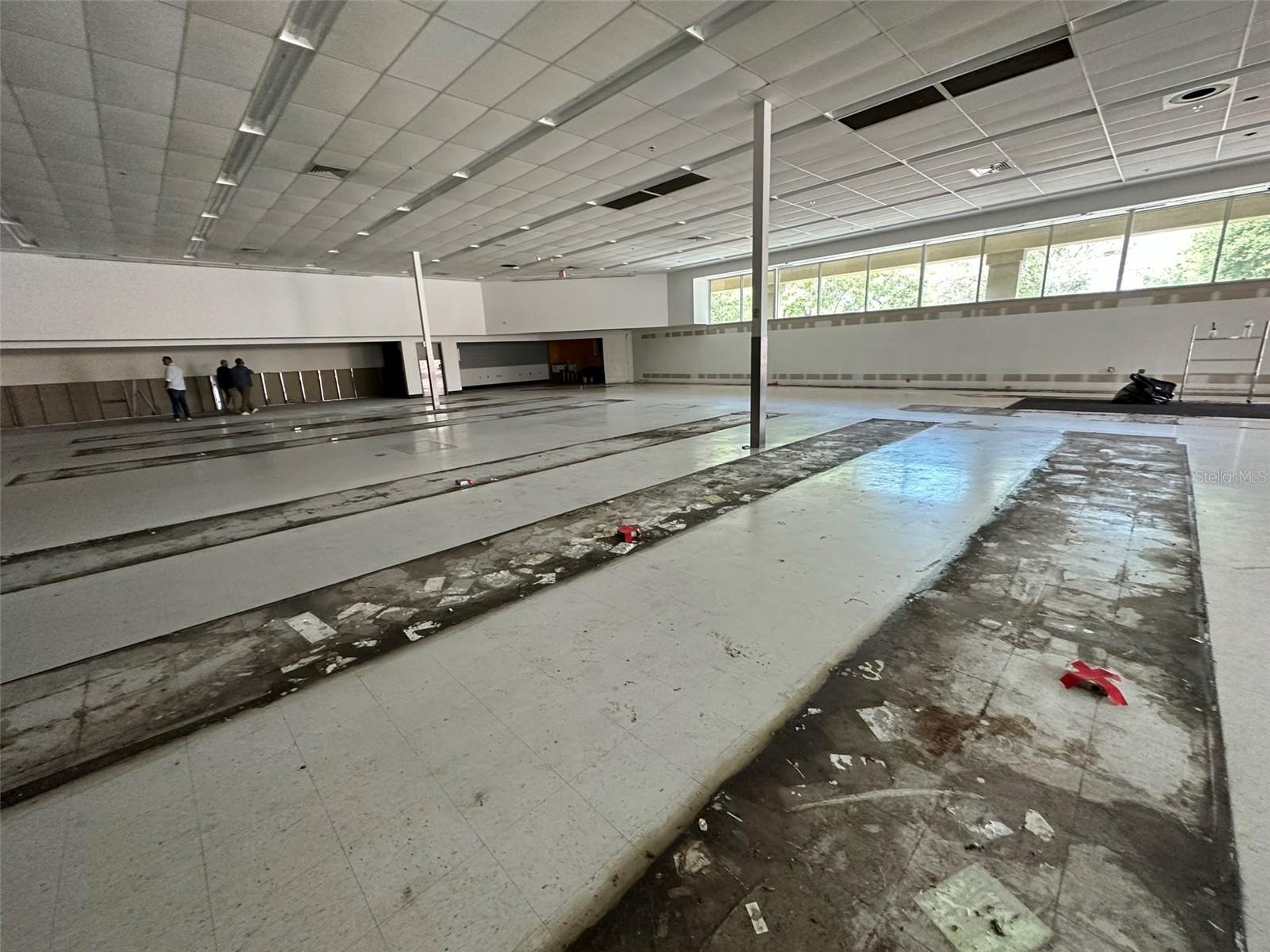 3917 N NEBRASKA AVE, TAMPA, FL, 33603