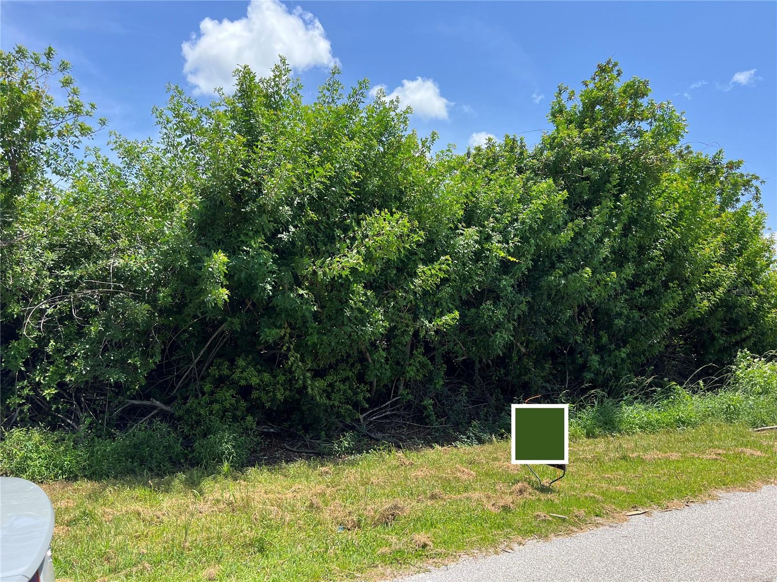 11082 CARNEGIE AVE, ENGLEWOOD, FL, 34224