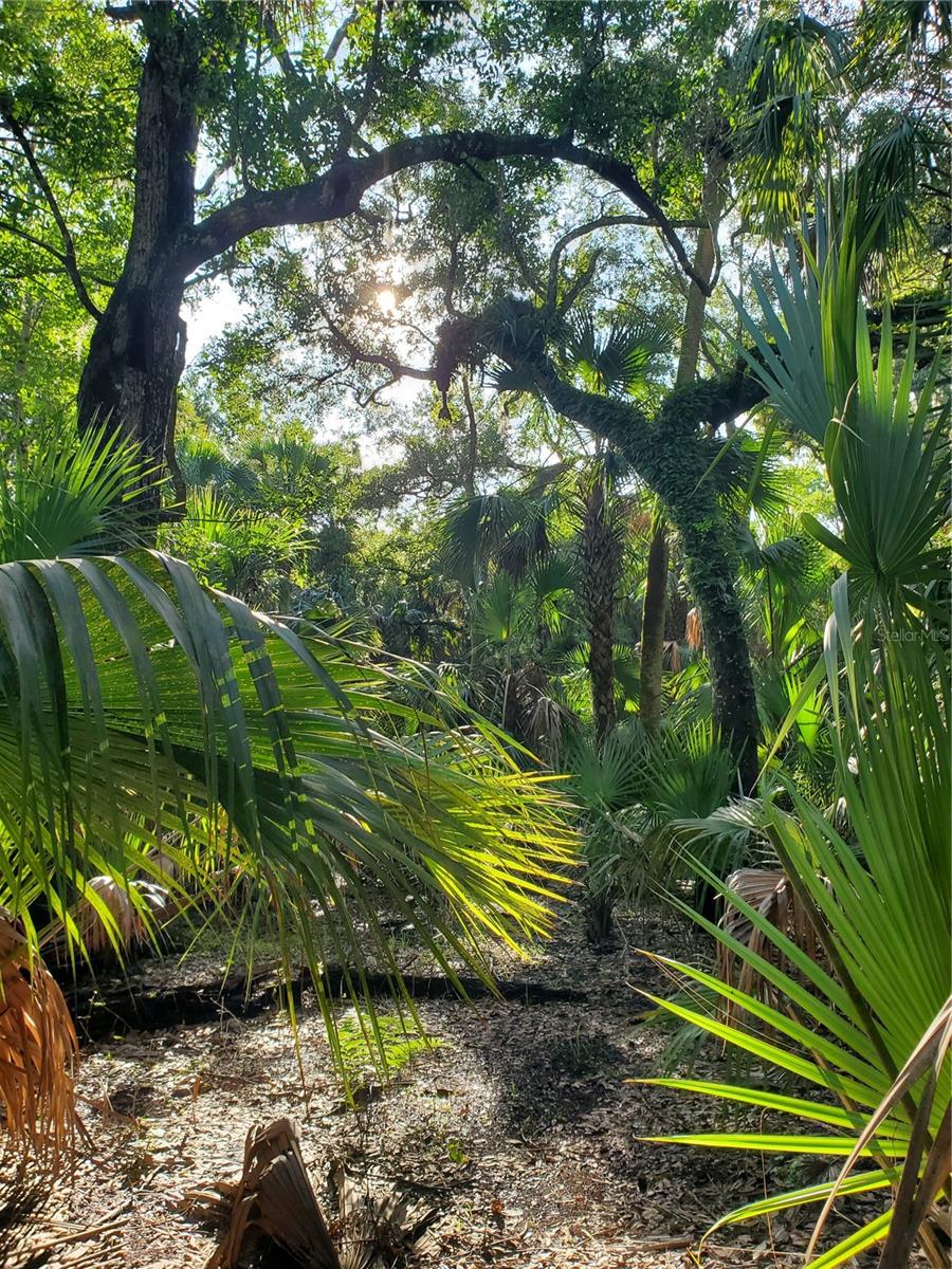 00 WITHLACOOCHEE PT, GENEVA, FL, 32732