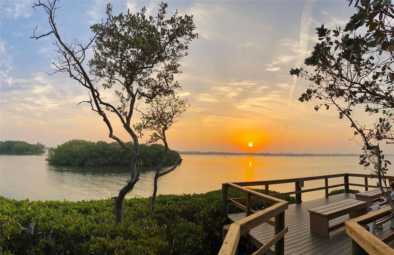 1508 PELICAN COVE RD #GR233, SARASOTA, FL, 34231
