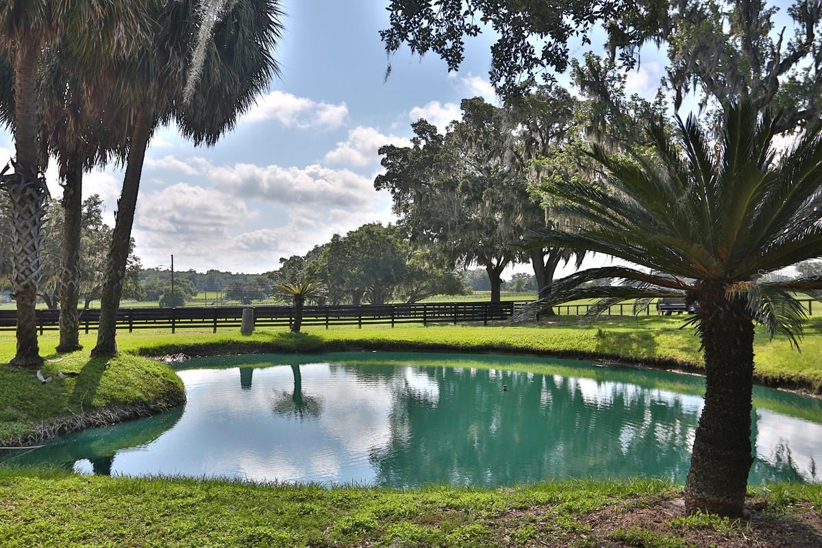 OM661446 Property Photo