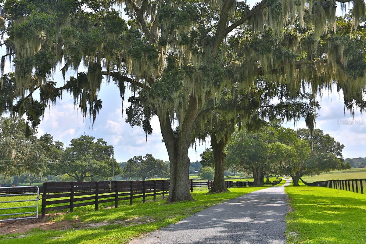 OM661446 Property Photo