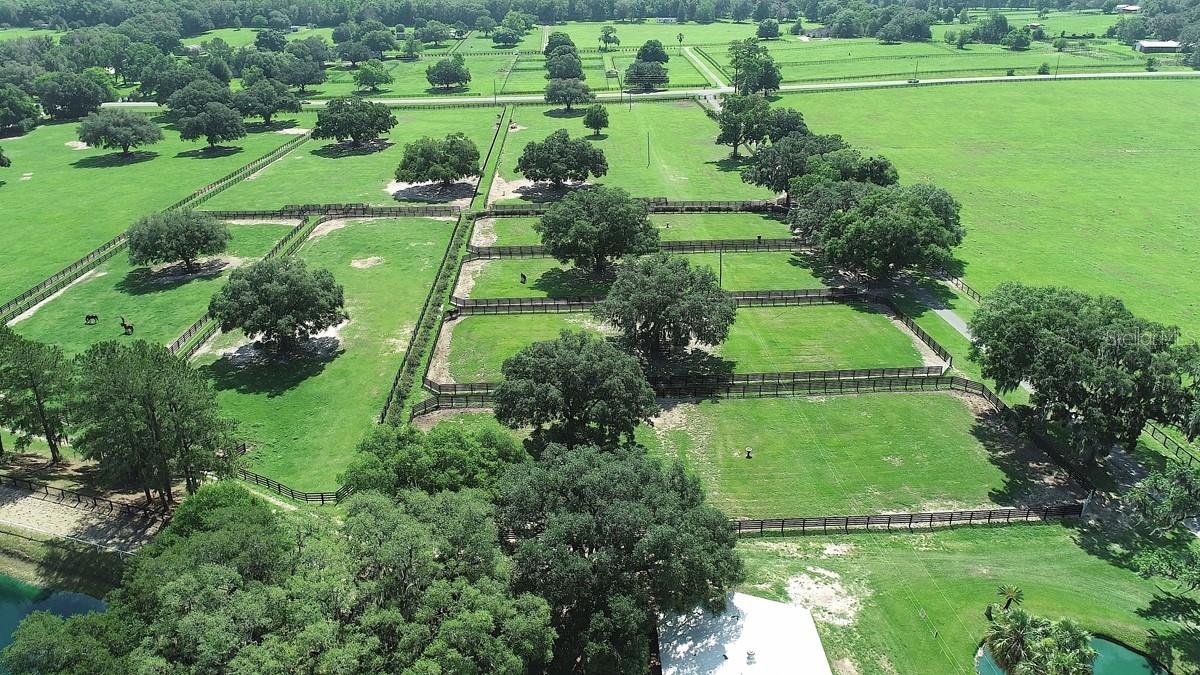 OM661446 Property Photo