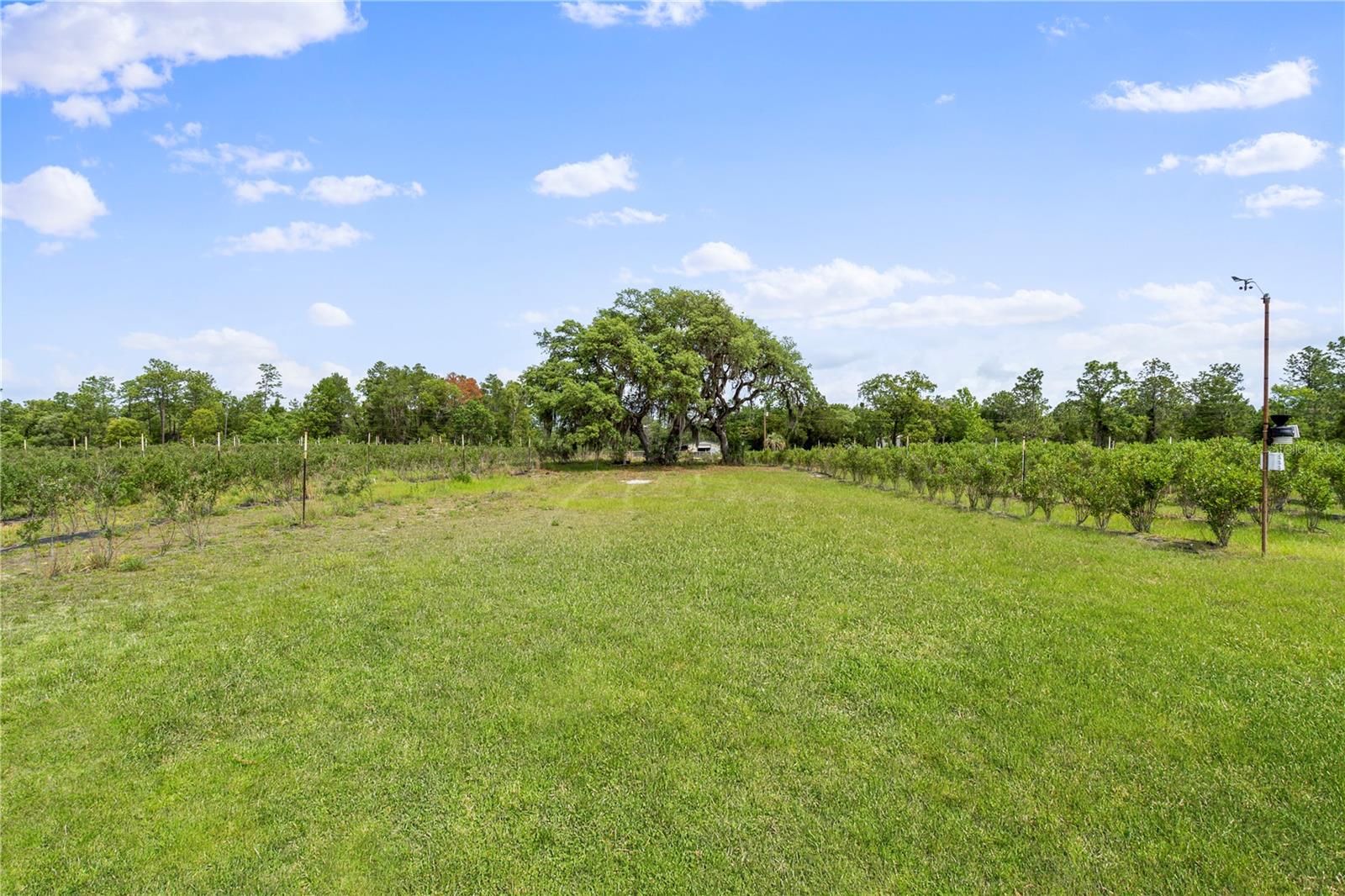 130 STRAWBERRY LN, POMONA PARK, FL, 32181