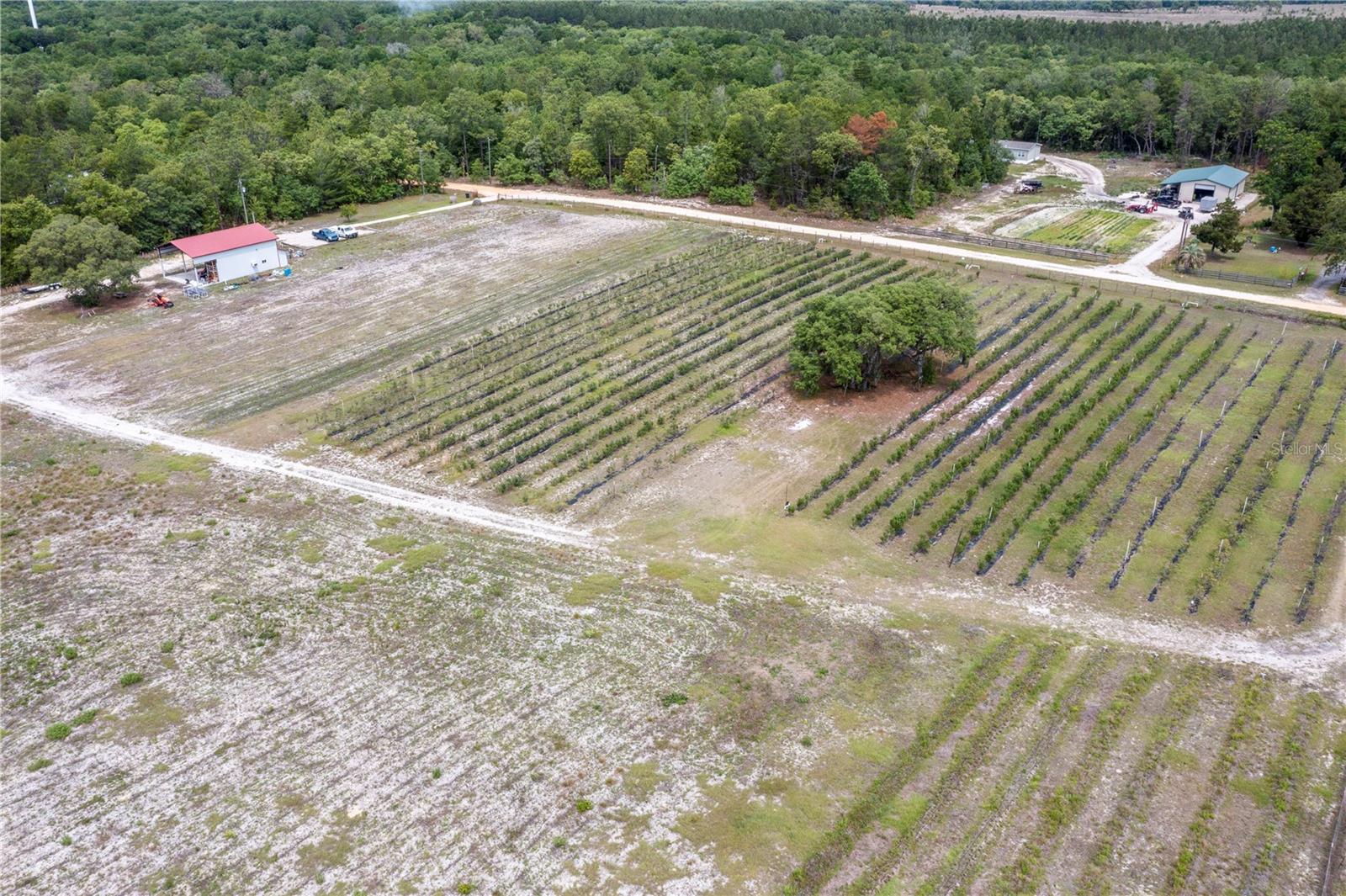 130 STRAWBERRY LN, POMONA PARK, FL, 32181