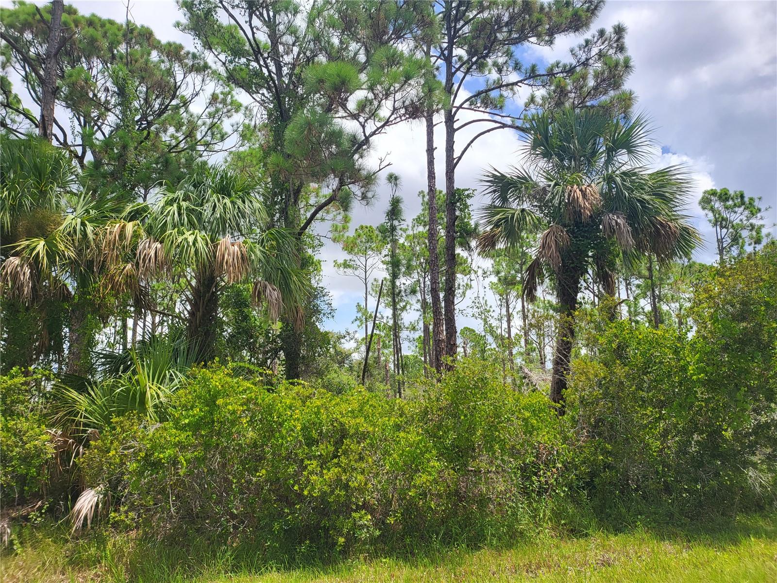 13466 HUGHES AVE, PORT CHARLOTTE, FL, 33953