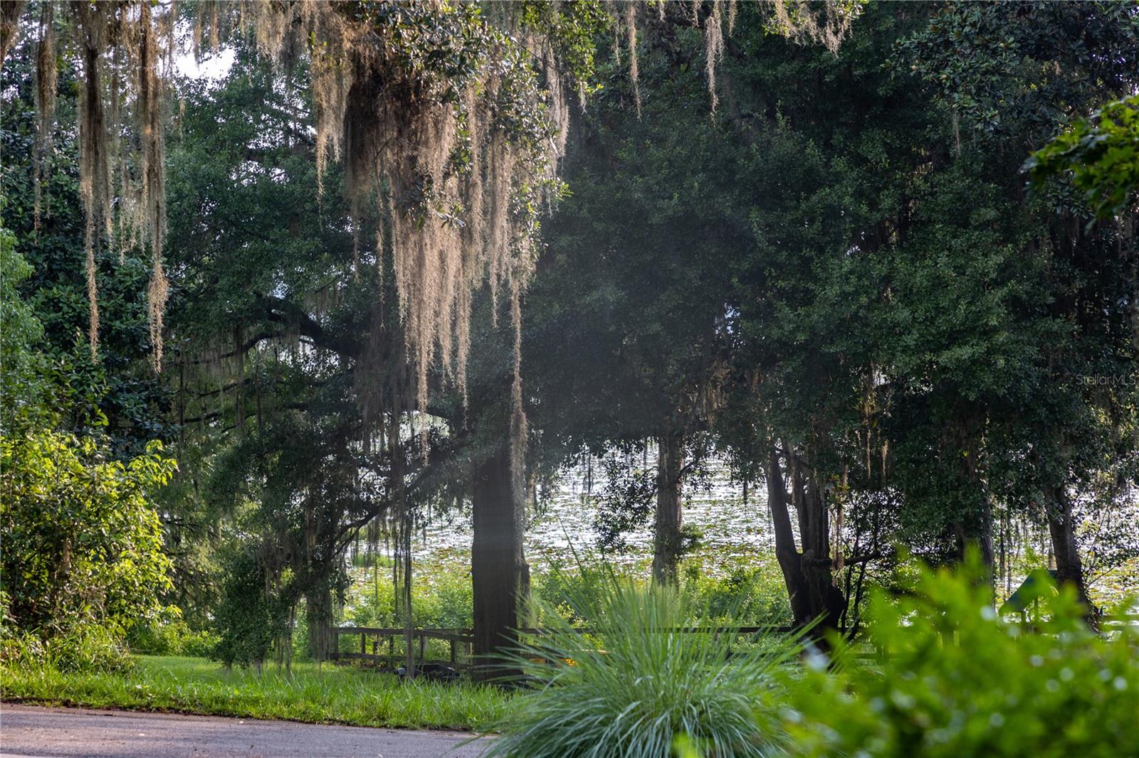 10678 LAKE IAMONIA DR, TALLAHASSEE, FL, 32312