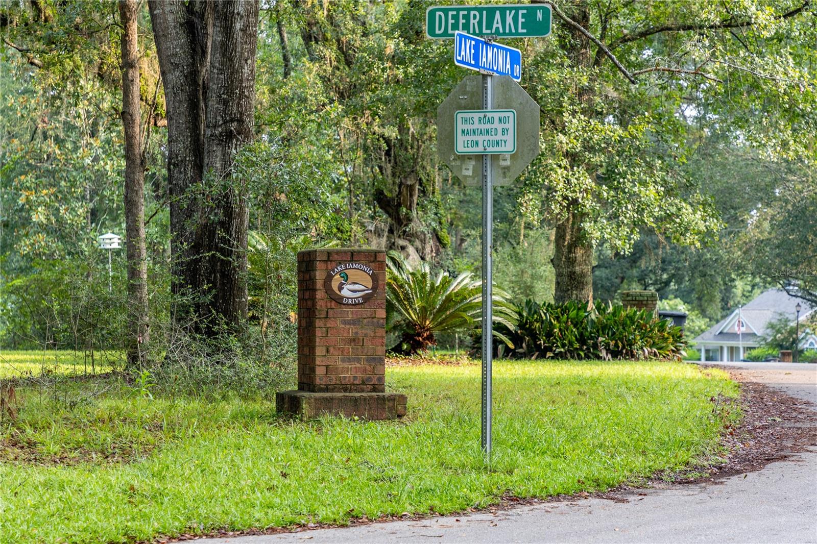 10678 LAKE IAMONIA DR, TALLAHASSEE, FL, 32312