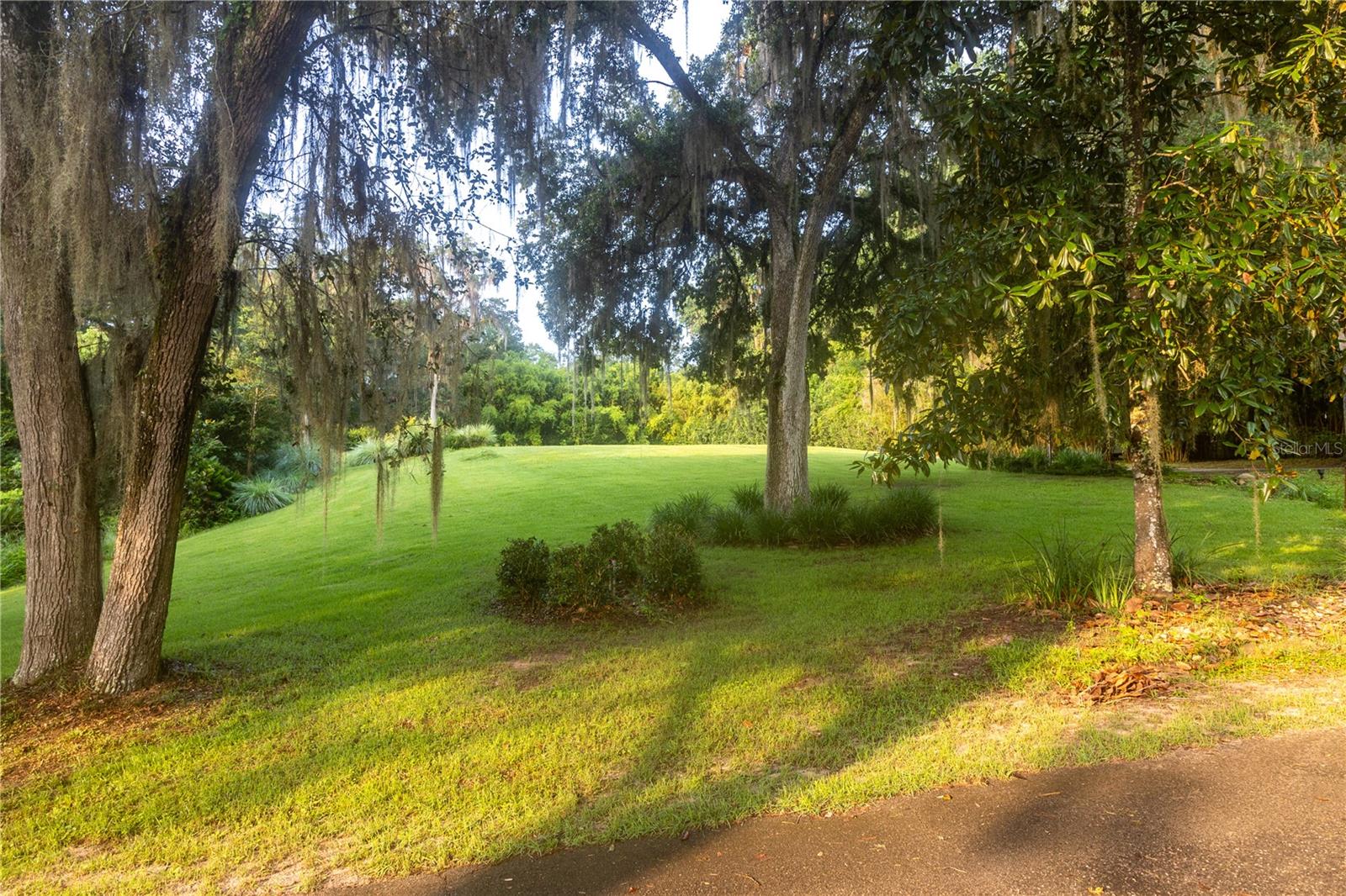 10678 LAKE IAMONIA DR, TALLAHASSEE, FL, 32312