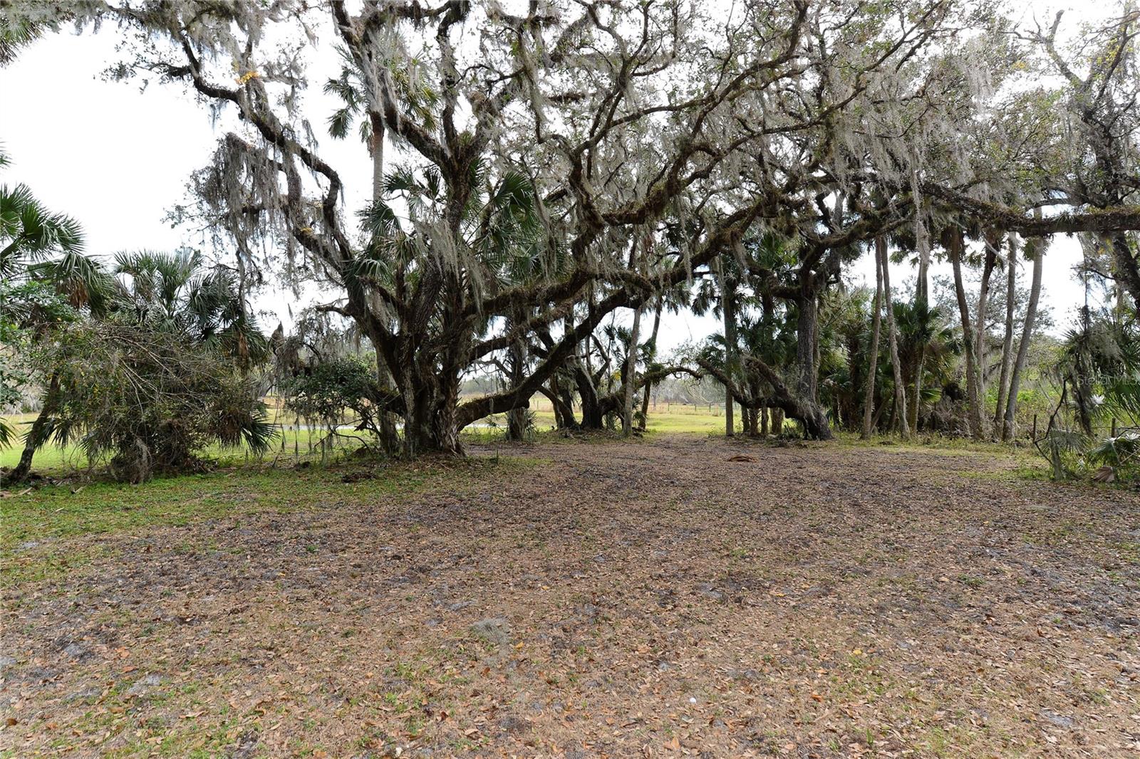 4610 HIDDEN RIVER RD, SARASOTA, FL, 34240