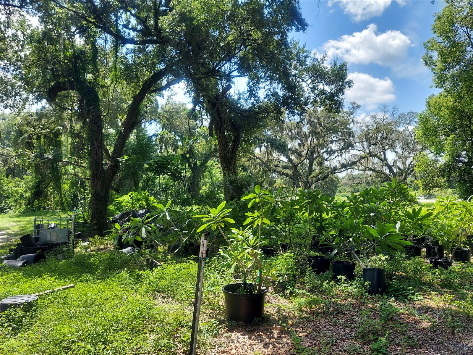 453 W DR MARTIN LUTHER KING JR BLVD, SEFFNER, FL, 33584