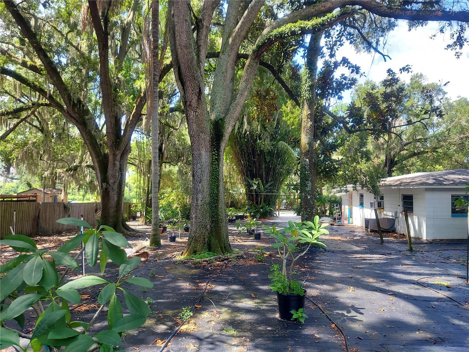 453 W DR MARTIN LUTHER KING JR BLVD, SEFFNER, FL, 33584