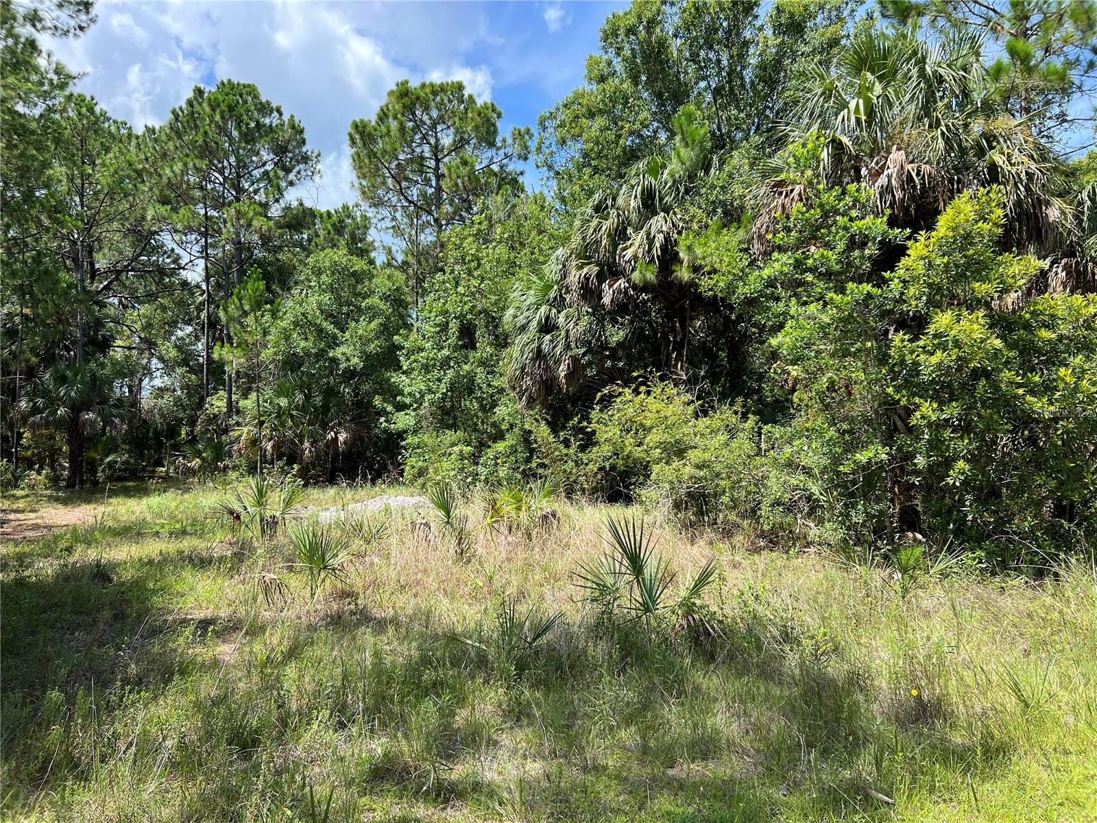 TBD GIRARD RD, HUDSON, FL, 34679