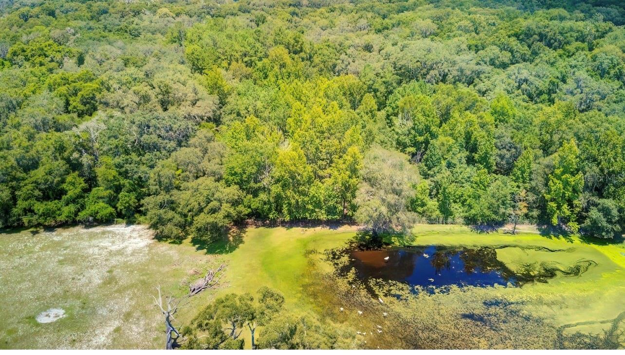 LA RUTH RD, BROOKSVILLE, FL, 34601