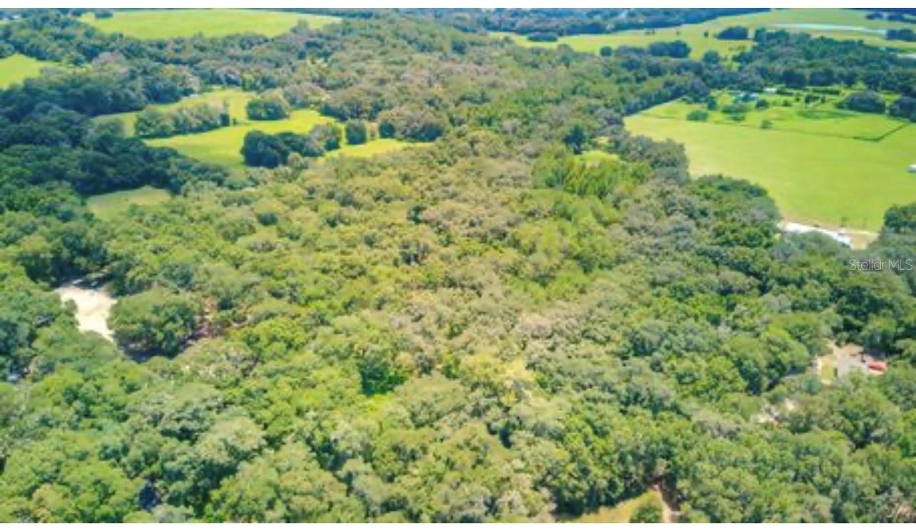 LA RUTH RD, BROOKSVILLE, FL, 34601