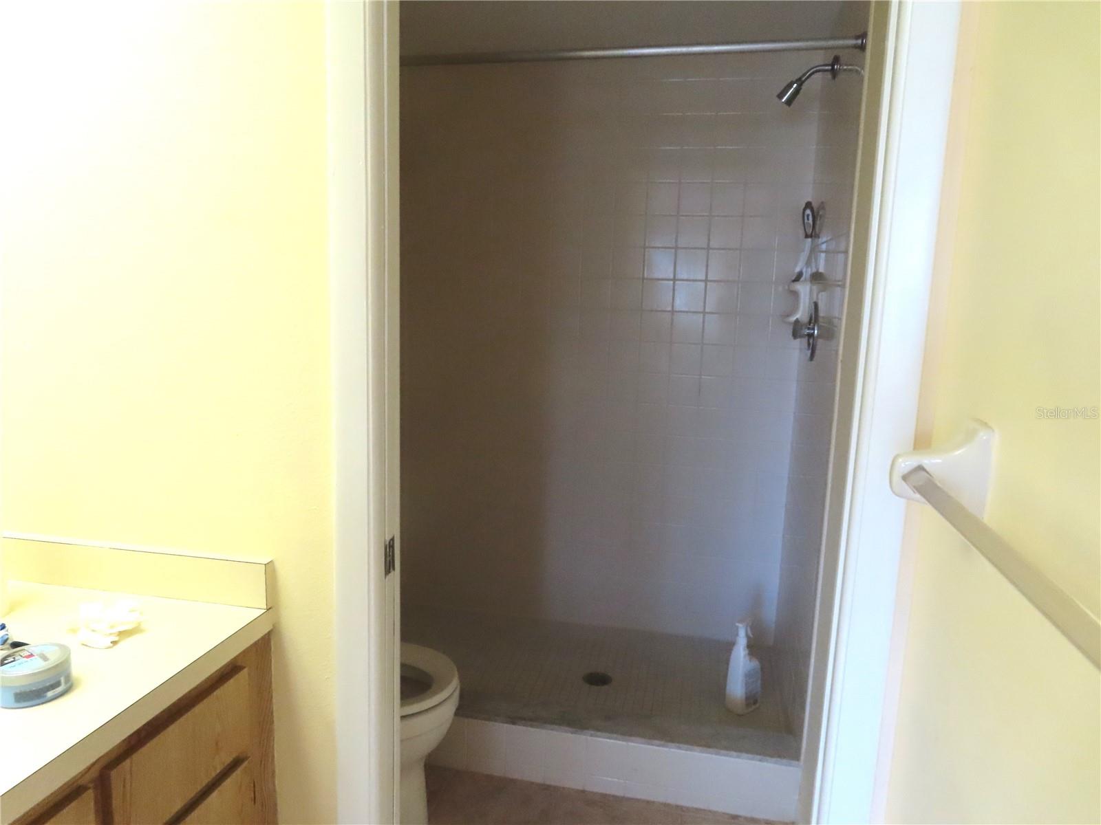 2341 LAKE HEATHER HEIGHTS CT #2341, DUNEDIN, FL, 34698