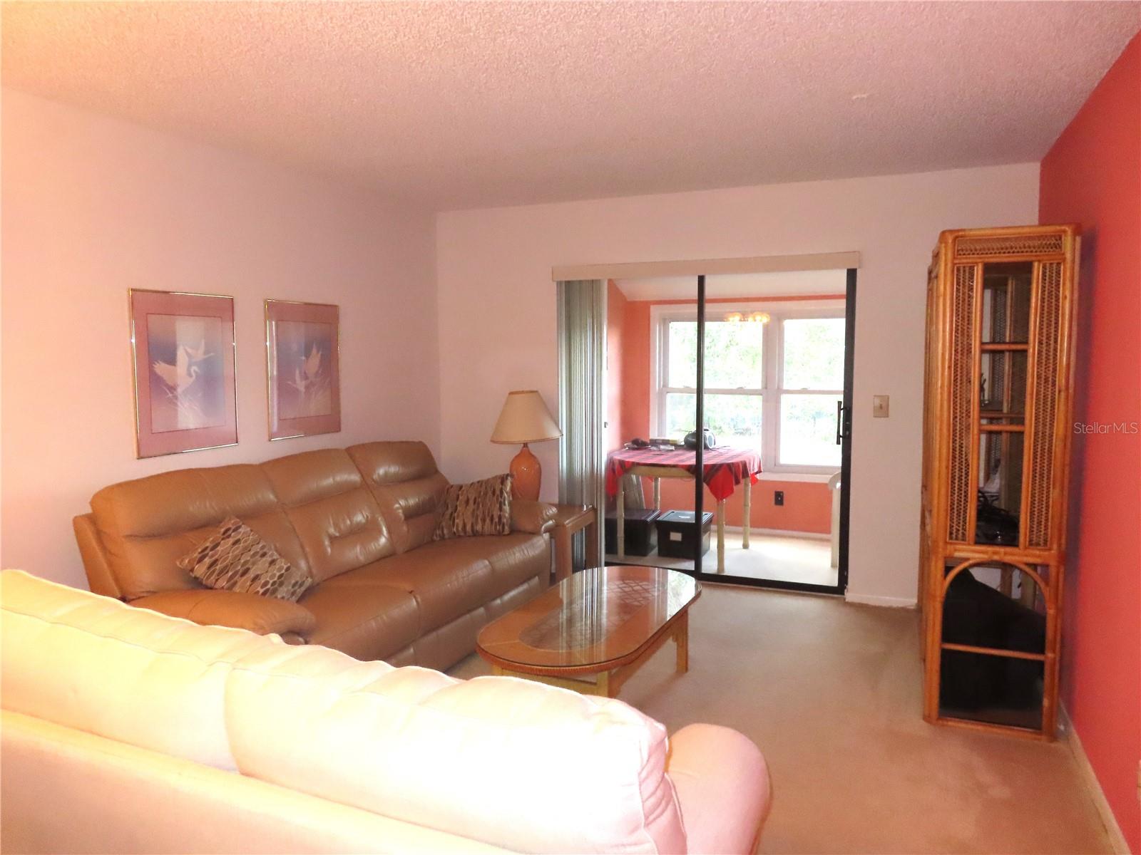 2341 LAKE HEATHER HEIGHTS CT #2341, DUNEDIN, FL, 34698
