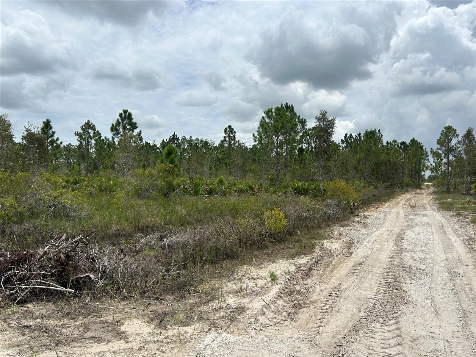 50648 BERMONT RD, PUNTA GORDA, FL, 33982