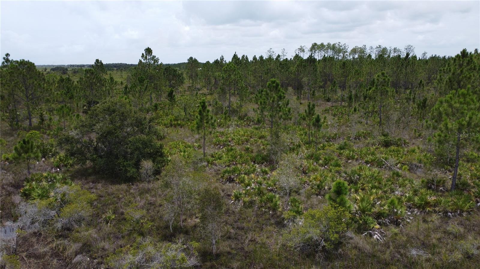 50648 BERMONT RD, PUNTA GORDA, FL, 33982