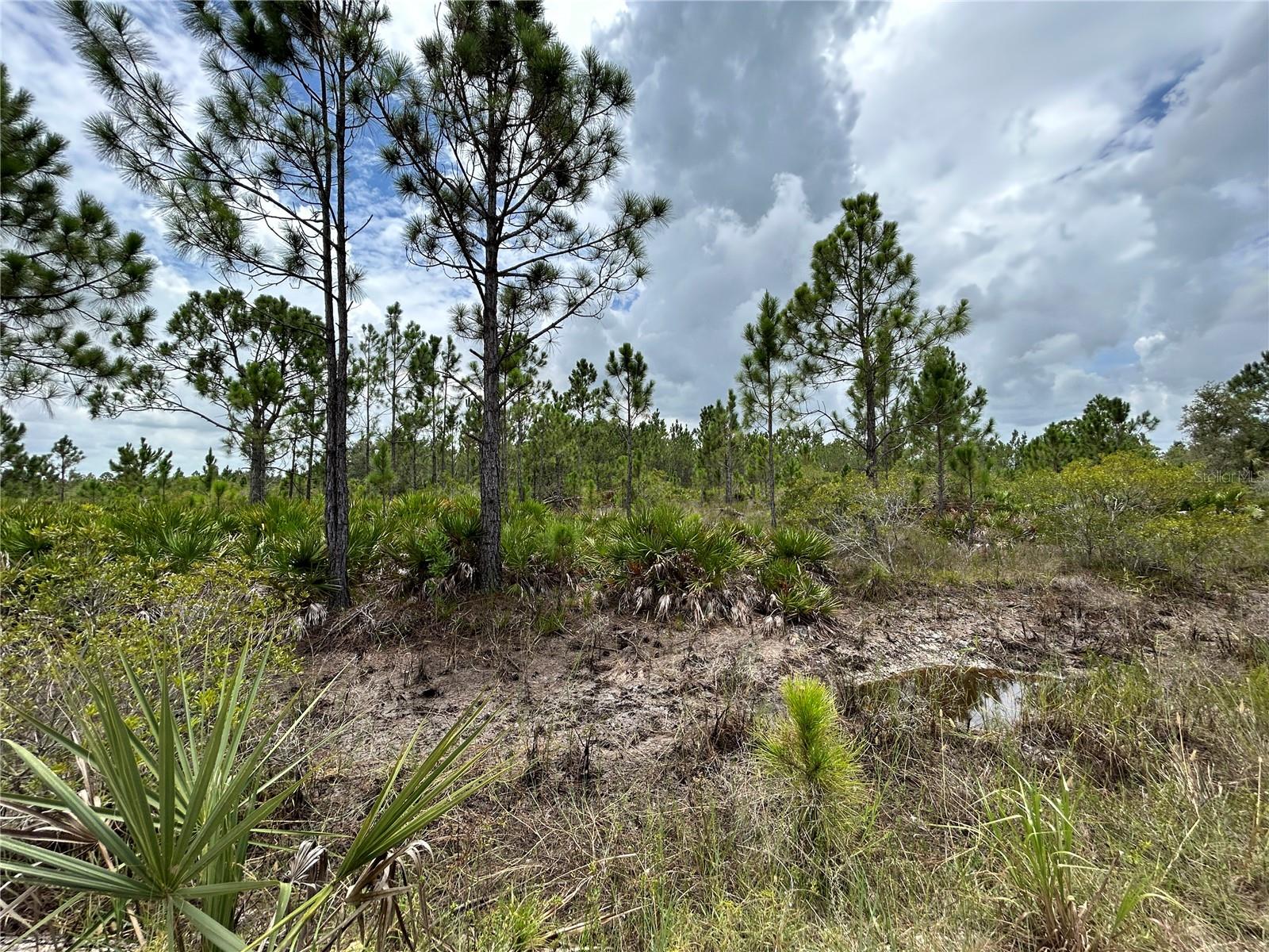 50648 BERMONT RD, PUNTA GORDA, FL, 33982
