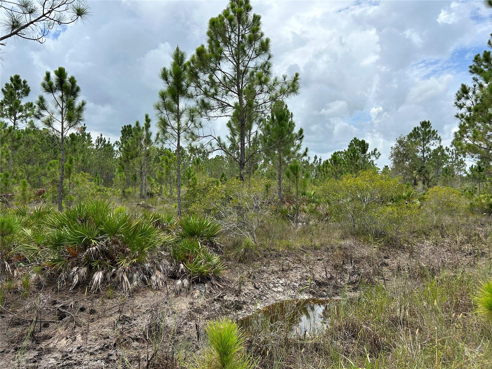 50648 BERMONT RD, PUNTA GORDA, FL, 33982