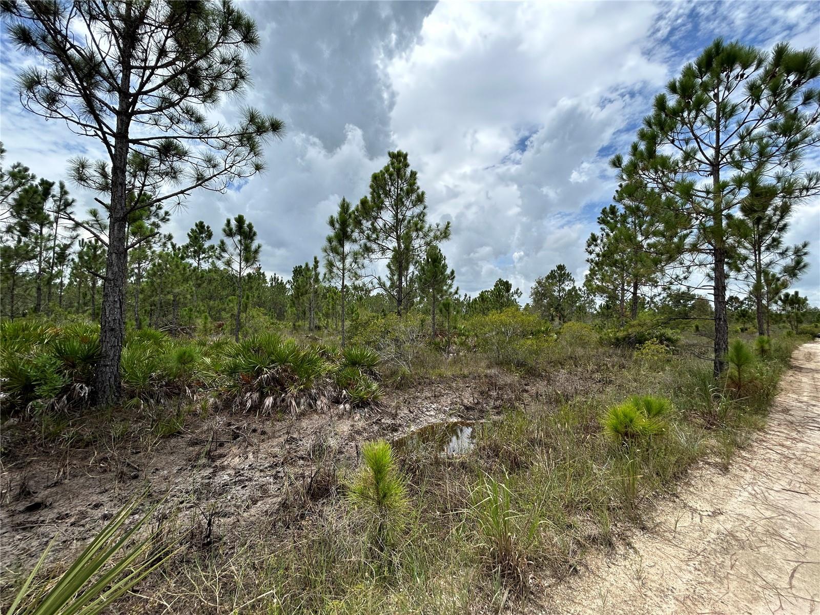 50648 BERMONT RD, PUNTA GORDA, FL, 33982
