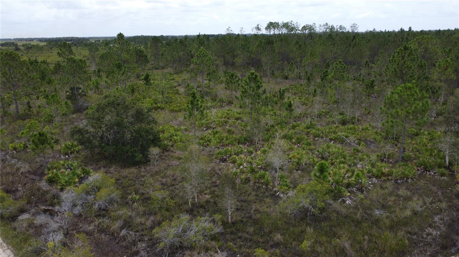 50648 BERMONT RD, PUNTA GORDA, FL, 33982